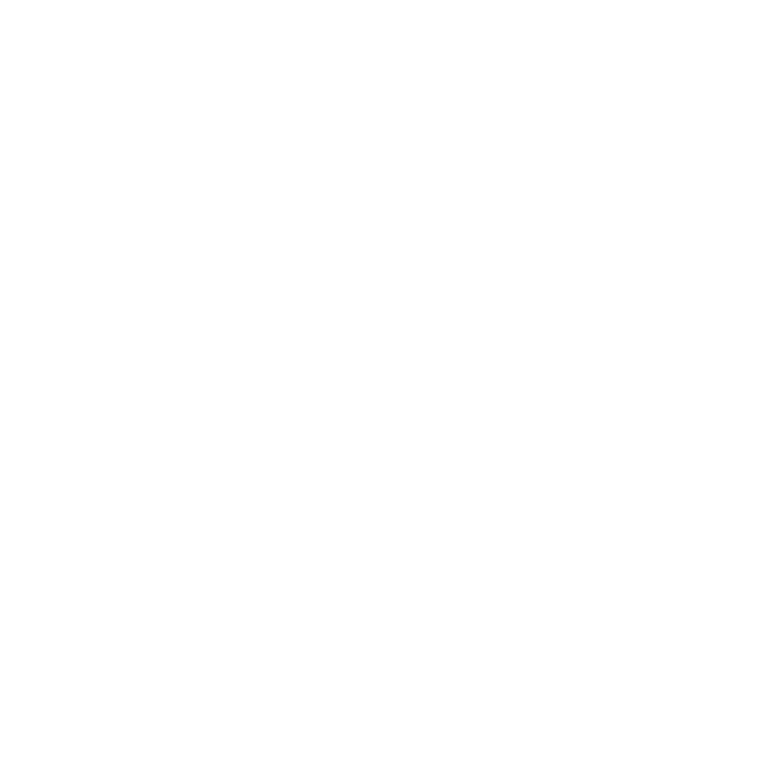 Connect Point